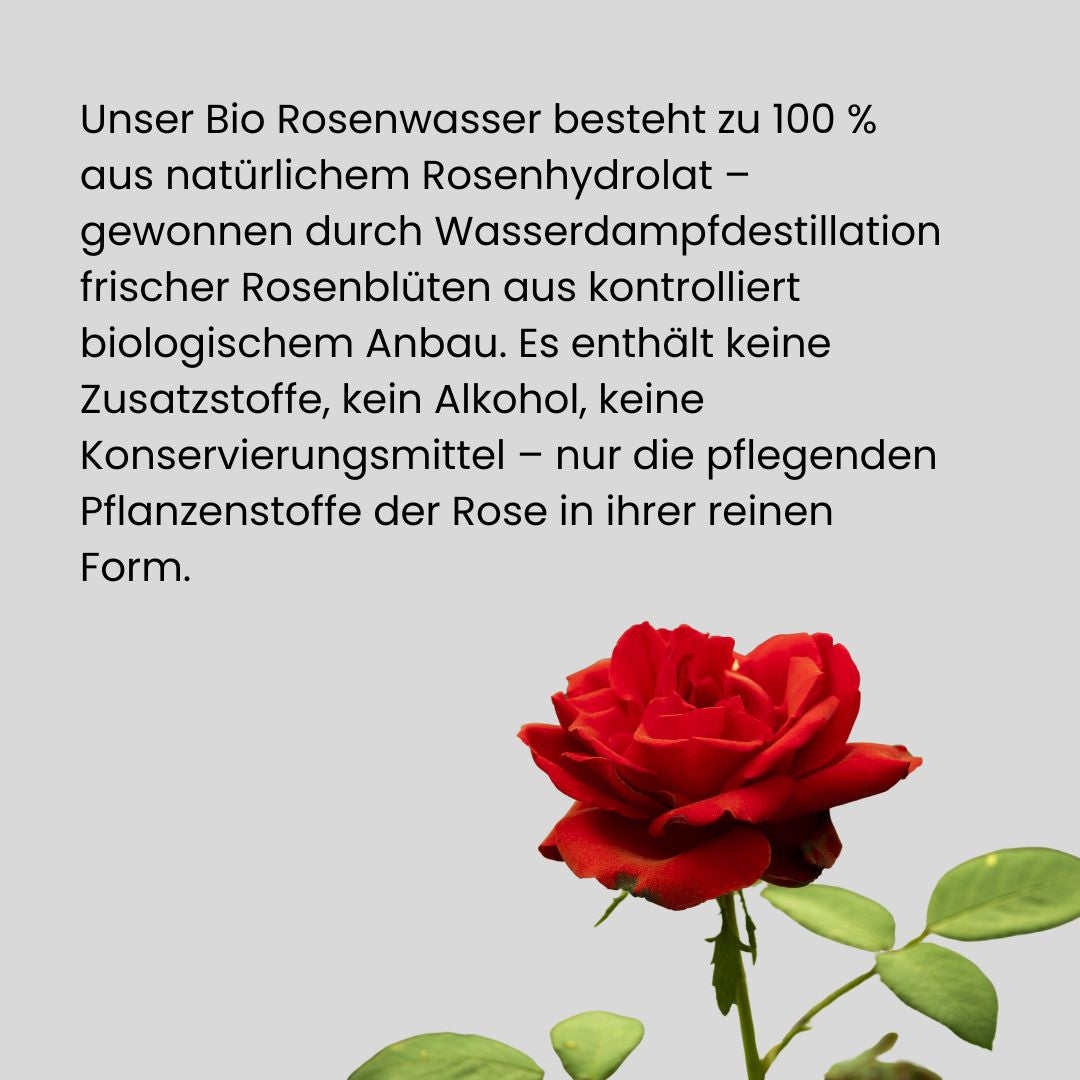 Rosenwasser Pur bio erfrischend tonisierend 100% rein ohne Zusätze vegan