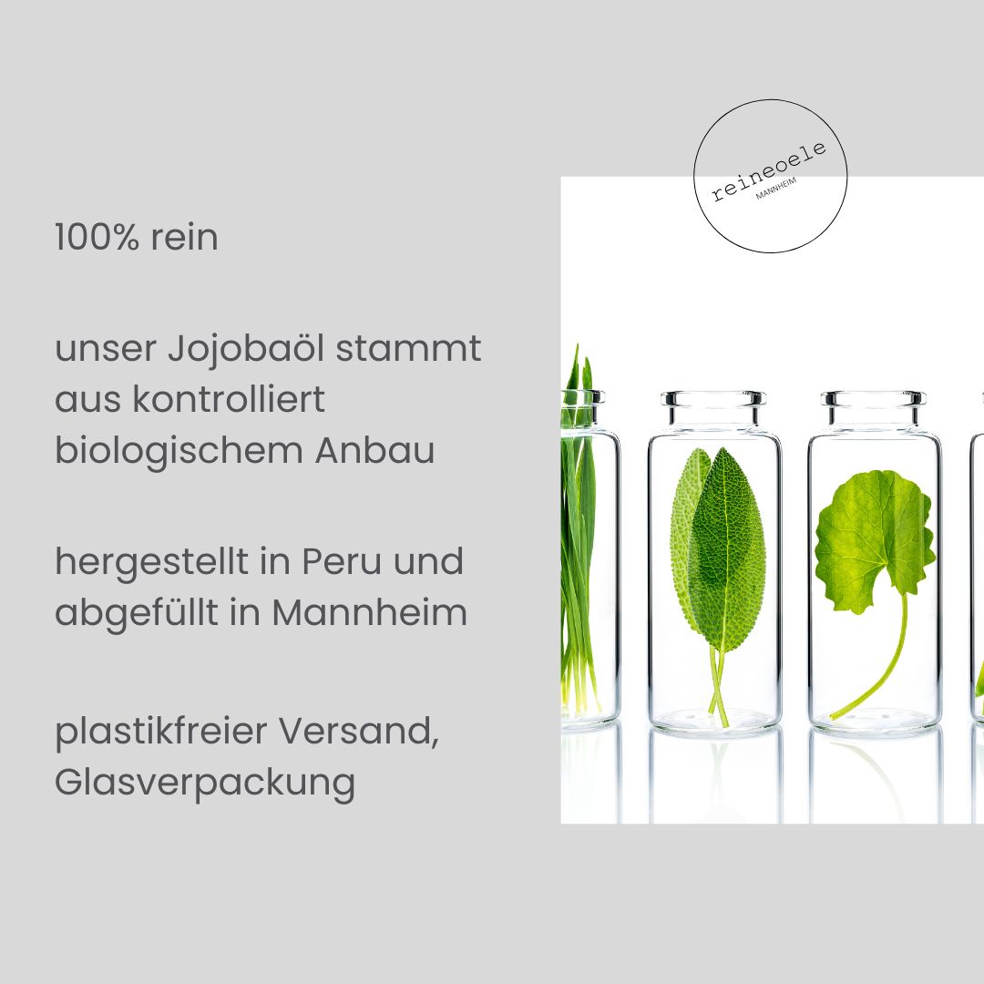Jojobaöl bio kaltgepresst - 100% rein - goldgelb - vegan - 100 ml Glasflasche