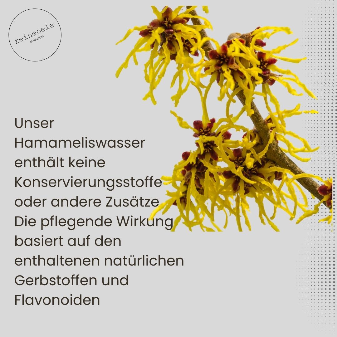 Hamameliswasser ohen Konservierungsmittel